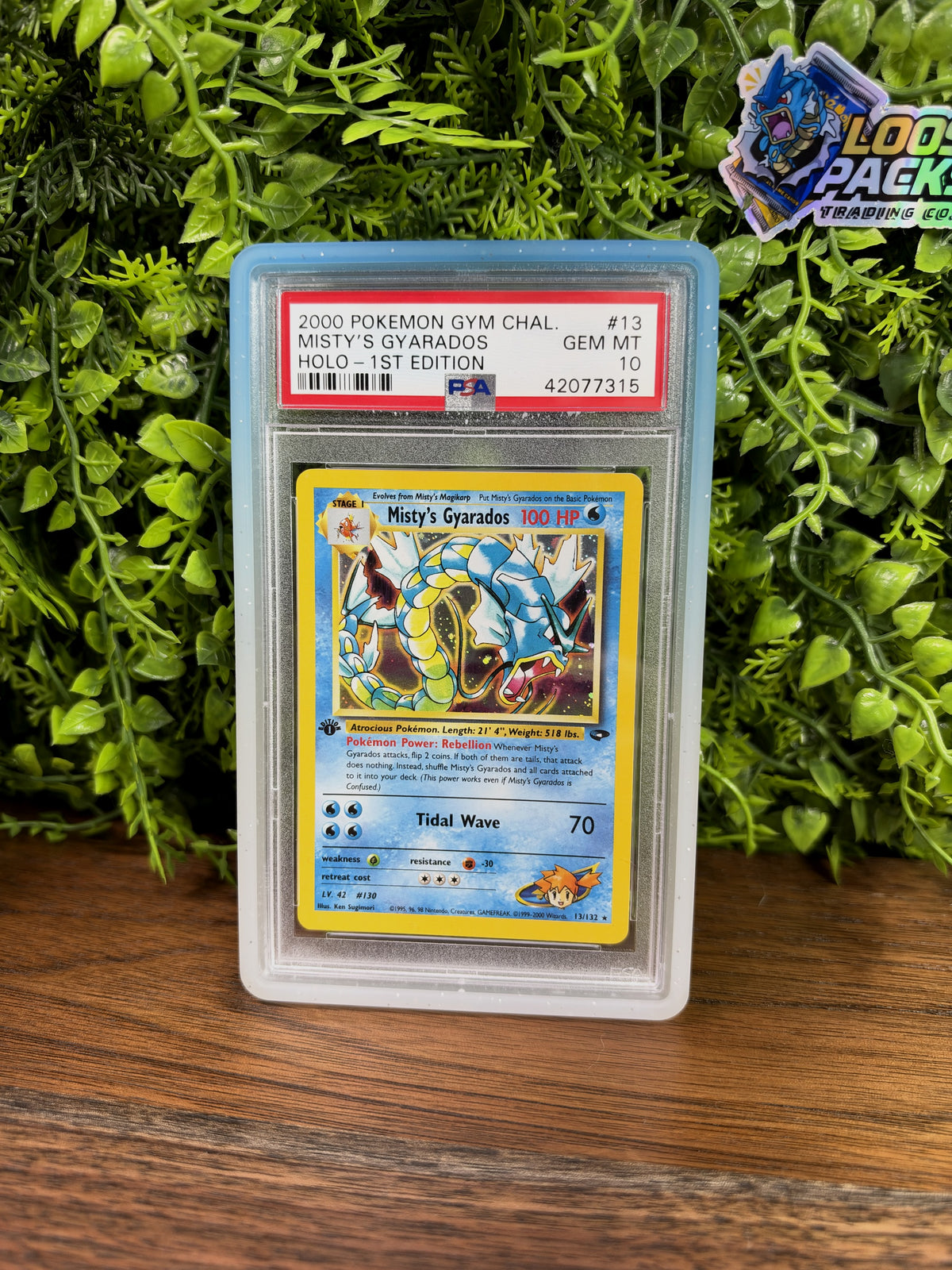 REAL PHOTO 2026-10-15 - PSA 10 Gym Challenge Misty's Gyarados #13 1st Edition (Holo) (IMG_7312)