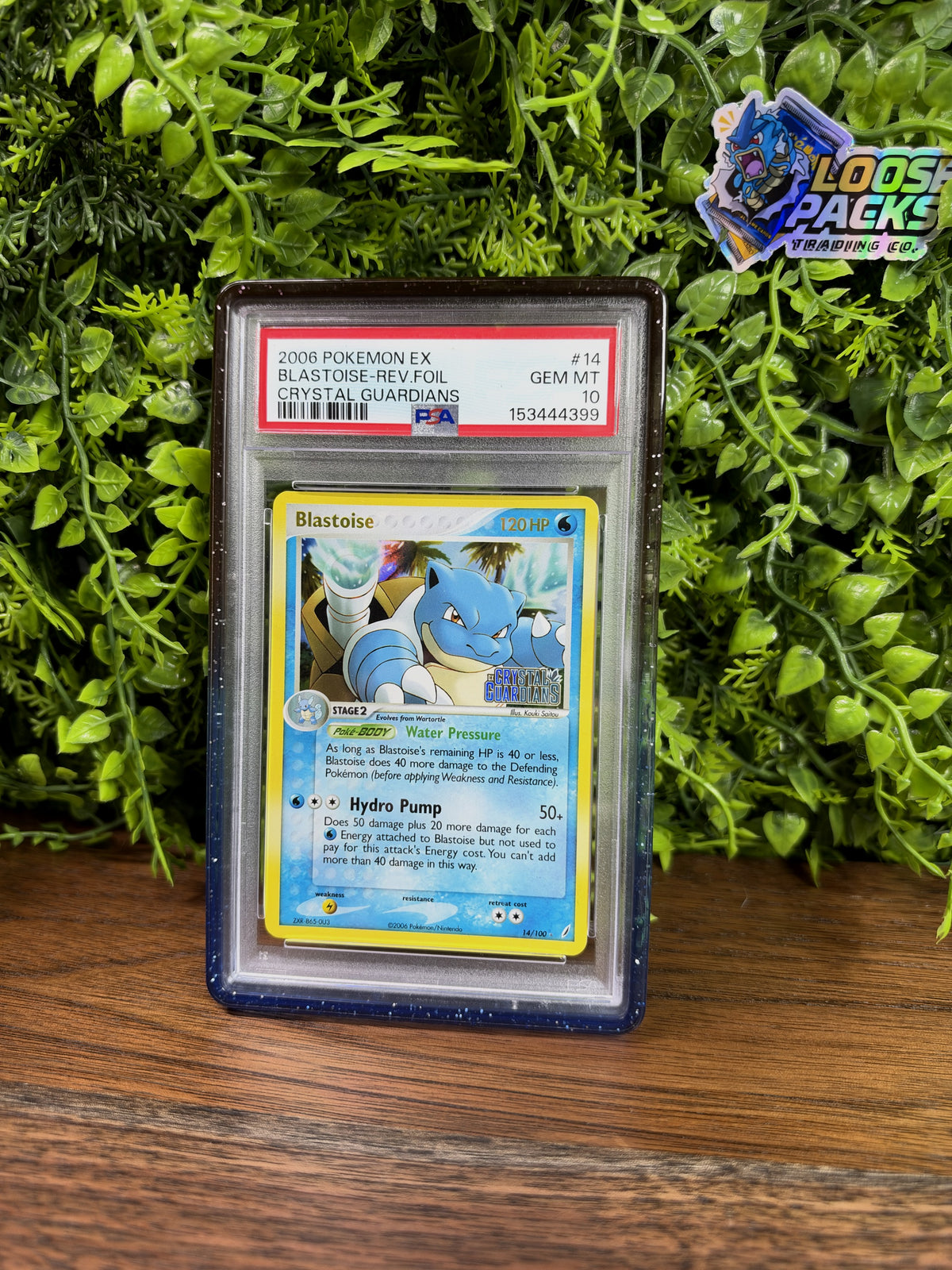 REAL PHOTO 2026-10-15 - PSA 10 EX Crystal Guardians Blastoise #14 (Reverse Holo) (IMG_7313)