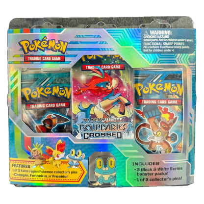 B&W Plasma Triple Pin Blister