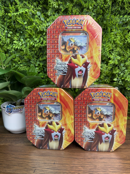 HS Legendary Beast Tin 2010 - Entei